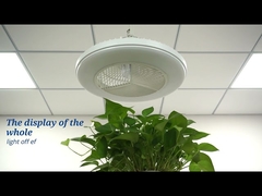 बेडरूम के लिए स्मार्ट ऐप कंट्रोल 20 इंच फ्लश माउंट एलईडी सीलिंग फैन