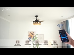 रस्सी केज छिपा हुआ ब्लेड दूरस्थ नियंत्रण डीसी मोटर के साथ छत पंखे प्रकाश