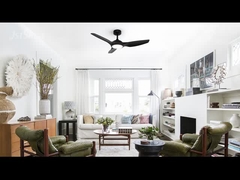 डीसीएफ-एफएस52920 48