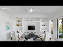 वैकल्पिक एलईडी लाइट डीसी मोटर एबीएस ब्लेड के साथ आधुनिक 2-इन-1 छत पंखे