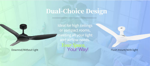 के बारे में नवीनतम कंपनी समाचार एक प्रशंसक, कई संभावनाएंः 1stShine से अनुकूलन योग्य विकल्प